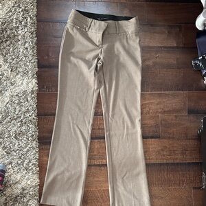 Maurices dress Pants with Tan Interior
